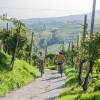 Kerékpártúra az olasz Prosecco borvidéken