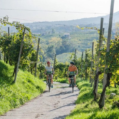 Kerékpártúra az olasz Prosecco borvidéken