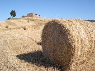 Toszkán barangolások Piza Firenze Piza