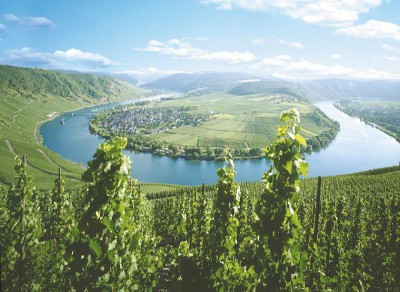 Rizling túra a Mosel-folyó mentén