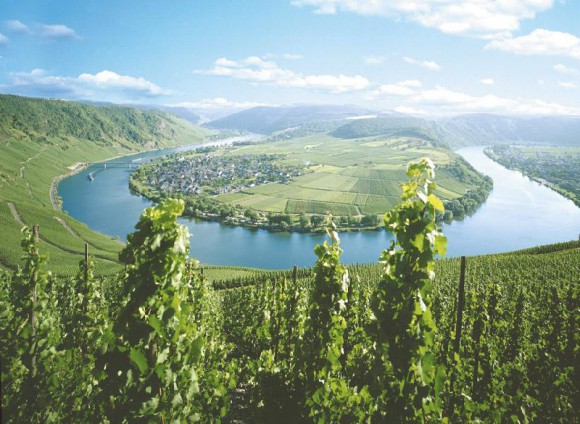Rizling túra a Mosel-folyó mentén