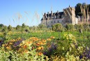 Loire menti kerékpártúra kastélyok és szőlők között
